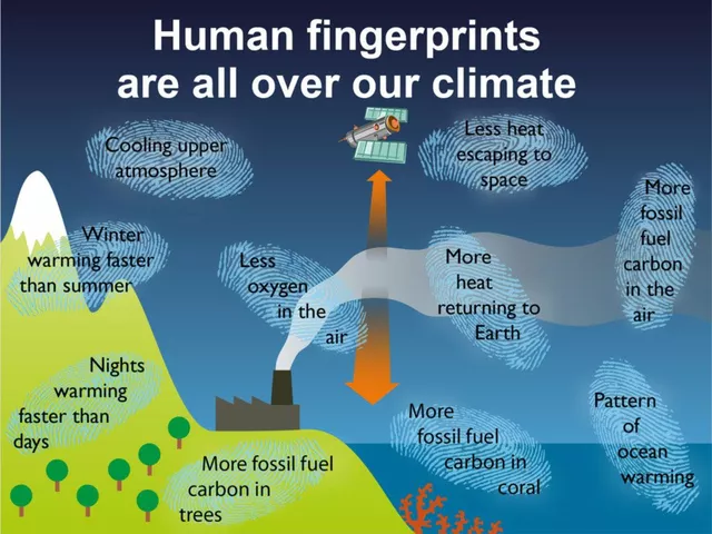 The Impact of Climate and Environment on Skin Pain