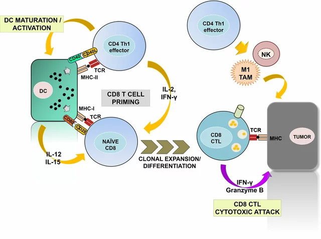 The Role of Immunotherapy in Treating Cell Lymphoma