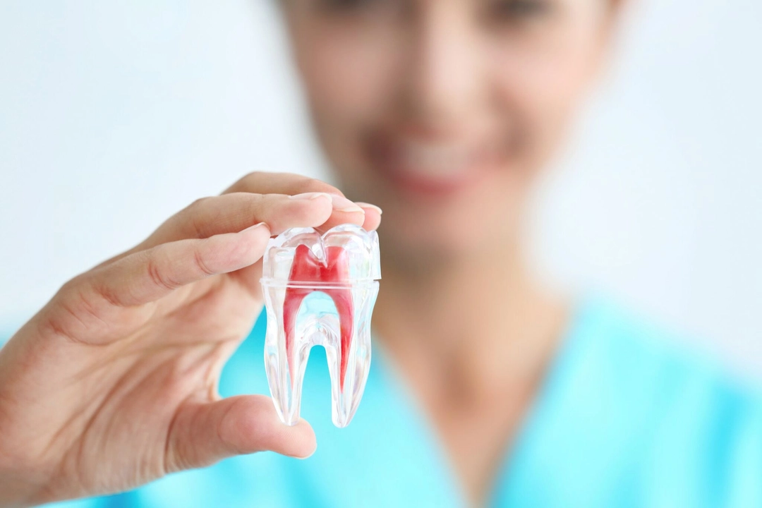 Toothaches and Root Canals: The Facts You Need to Know