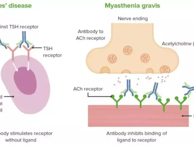 Graves' Disease and Pregnancy: What You Need to Know